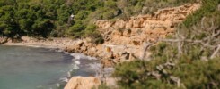 Ibiza family beach